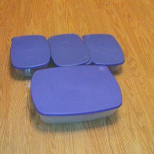 Tupperware Container, Food Storage (Set Of 4 Pieces)